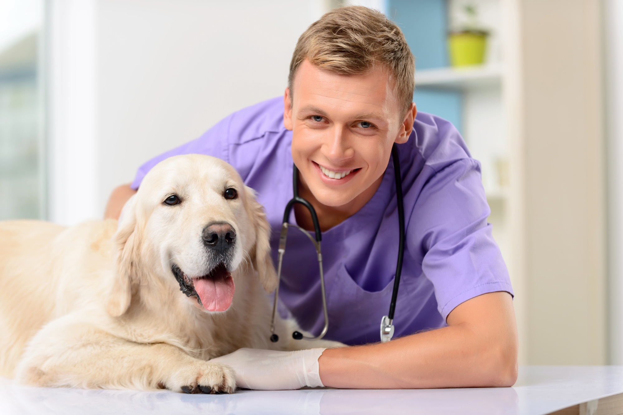 dog vet visits first year